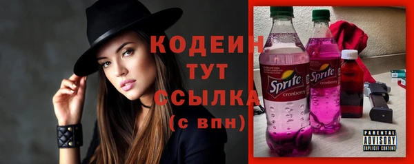МДПВ Иннополис