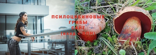 ALPHA PVP Армянск