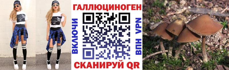Псилоцибиновые грибы MAGIC MUSHROOMS  сколько стоит  Троицк 