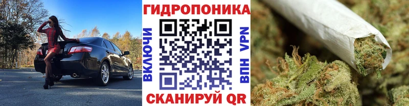 ОМГ ОМГ ссылки Троицк Бошки Шишки SATIVA & INDICA